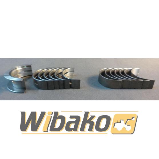 Semicasquillos principales WIBAKO 6CT 3802210